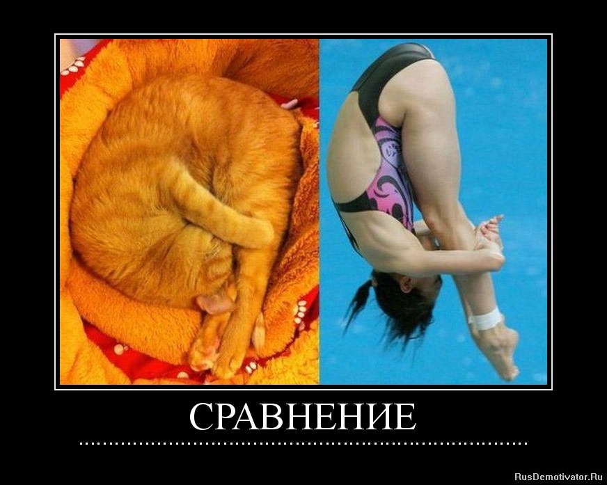 Опубликованное фото