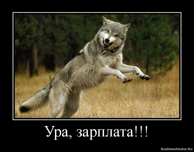 http://rusdemotivator.ru/uploads/09-21-2012/2012092120251559.png