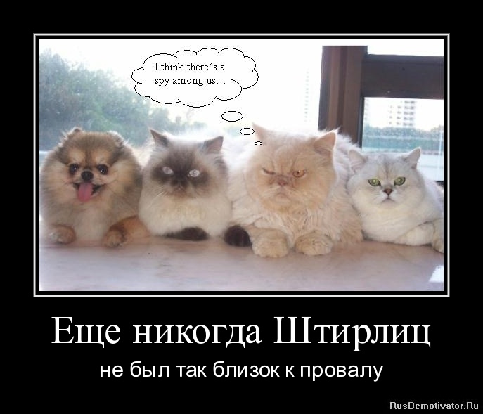 1316792248-eshhe-nikogda-shtirlic.jpg
