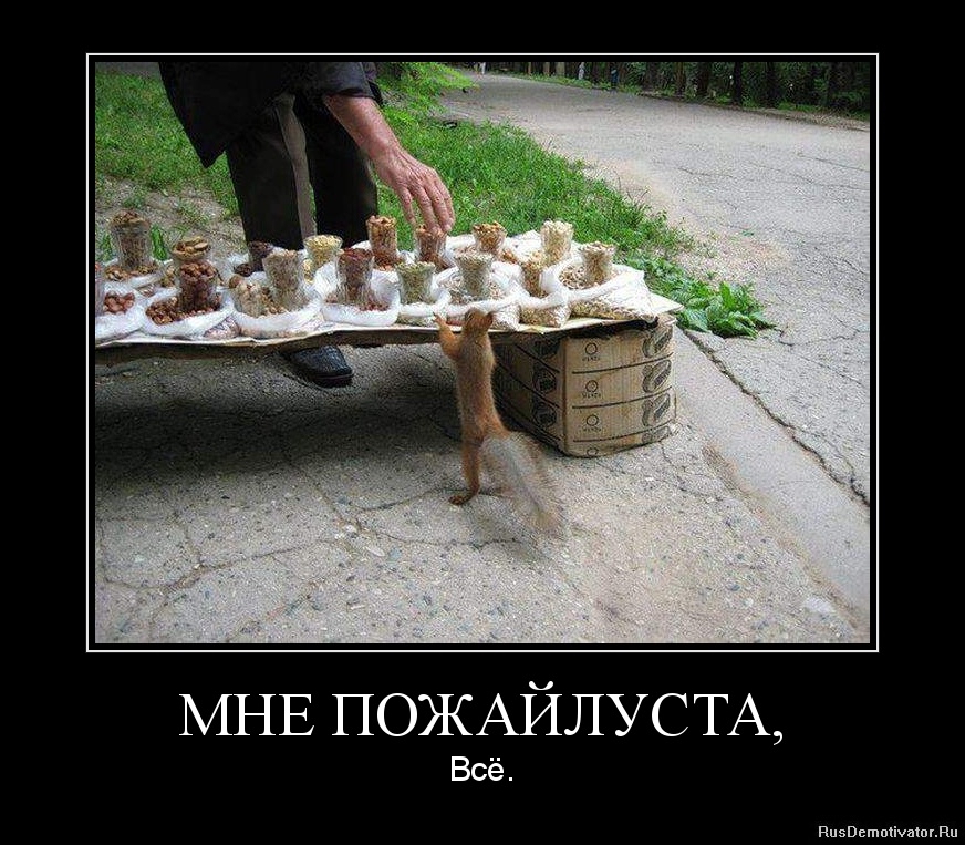Опубликованное фото