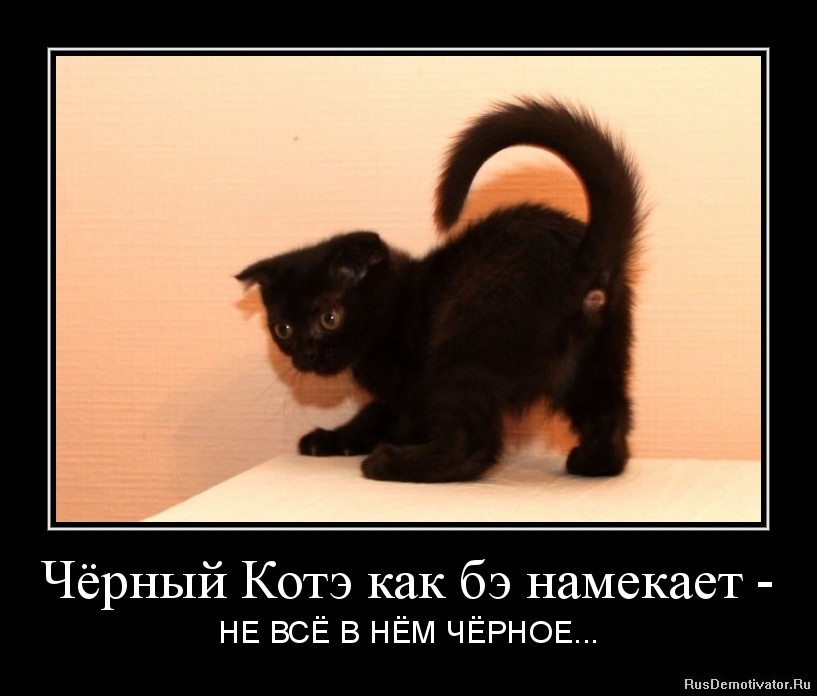 Как создать демотиватор на черном фоне