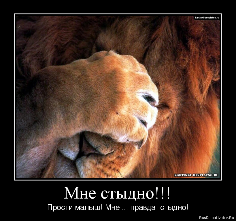мне стыдно картинка онлайн мне стыдно картинка