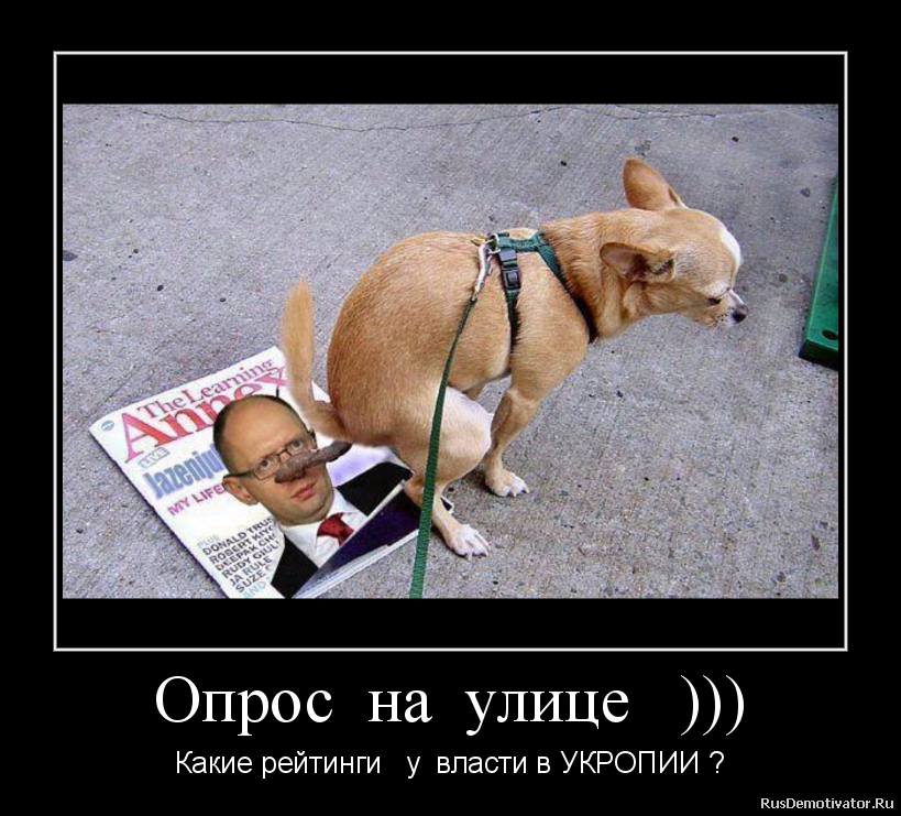 Опрос на улице ))) - Какие рейтинги у власти в УКРОПИИ ? Опрос на улице ))) - Какие рейтинги у власти в УКРОПИИ ?