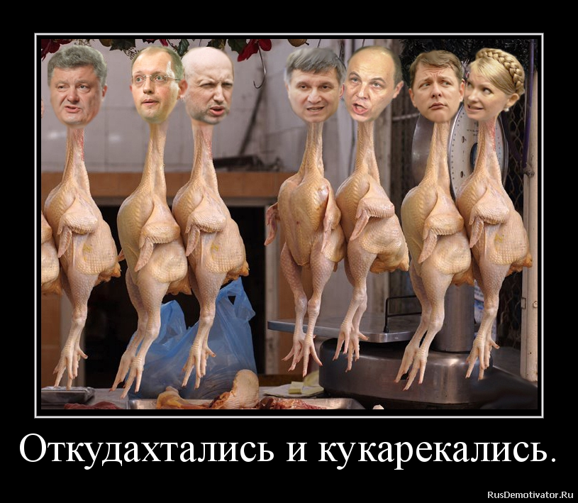 Откудахтались и кукарекались. Откудахтались и кукарекались.
