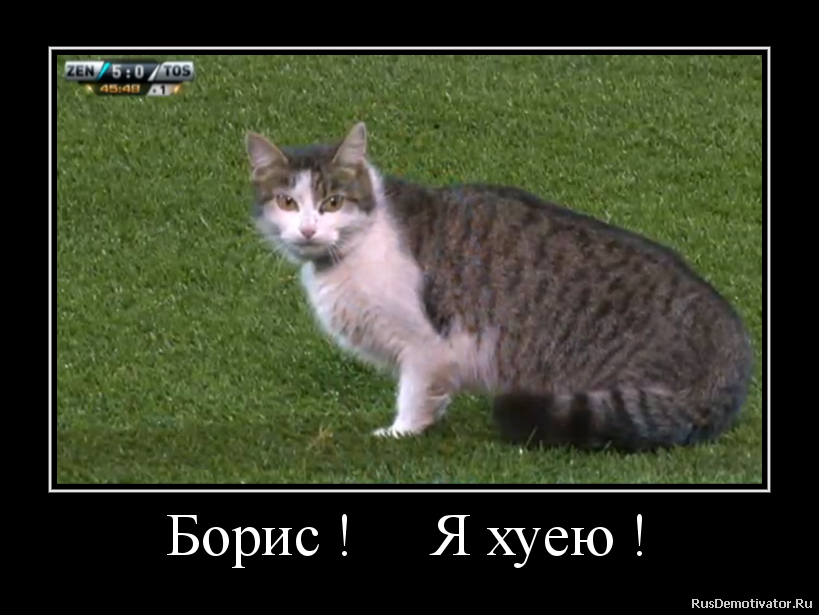 Борис ! Я хуею ! Борис ! Я хуею !