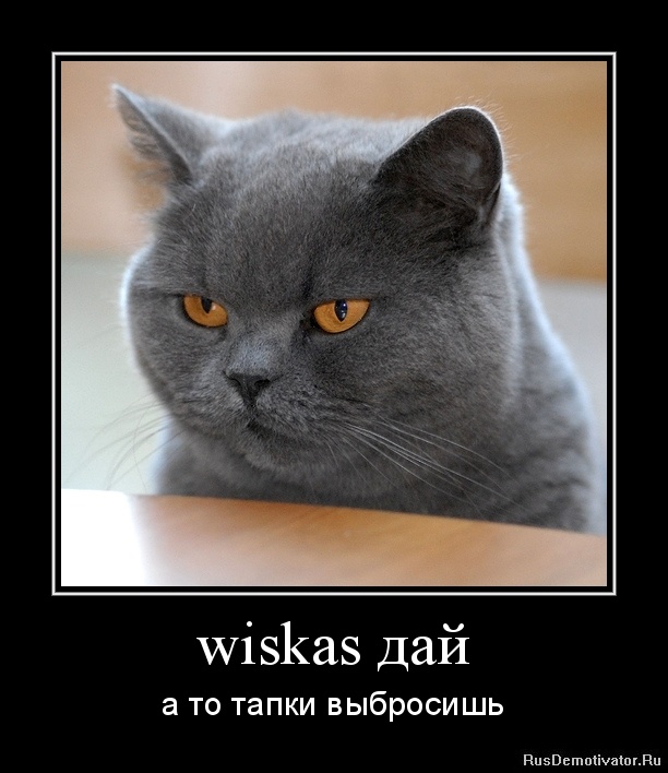 wiskas  -    