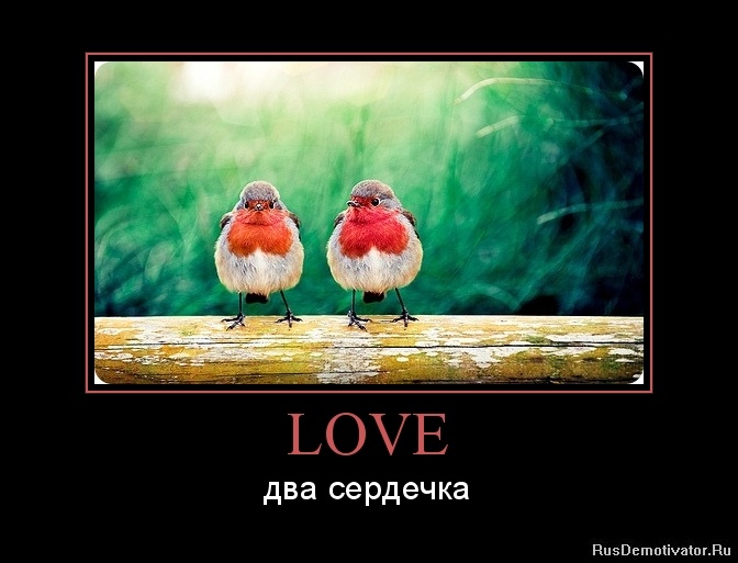 LOVE -  