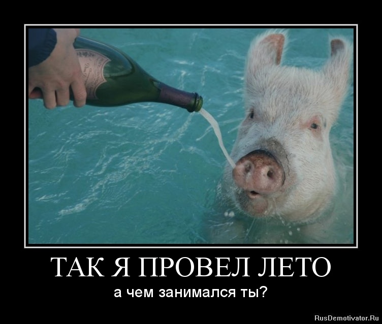 ��� � ������ ���� - � ��� ��������� ��?