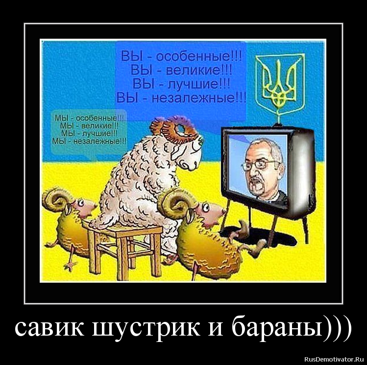савик шустрик и бараны))) савик шустрик и бараны)))