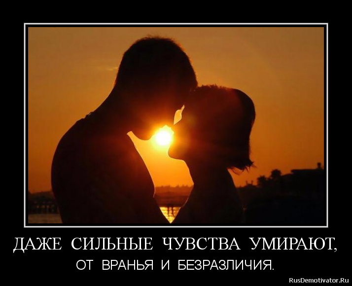 Не убивай мои чувства стих Не убивай мои чувства стих