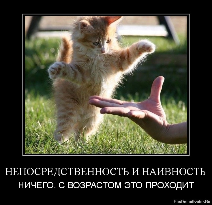 http://rusdemotivator.ru/uploads/12-07-11/1323223170-neposredstvennost-i-naivnost.jpg