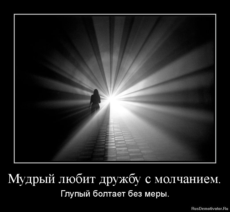 Цветок под дождём Цветок под дождём