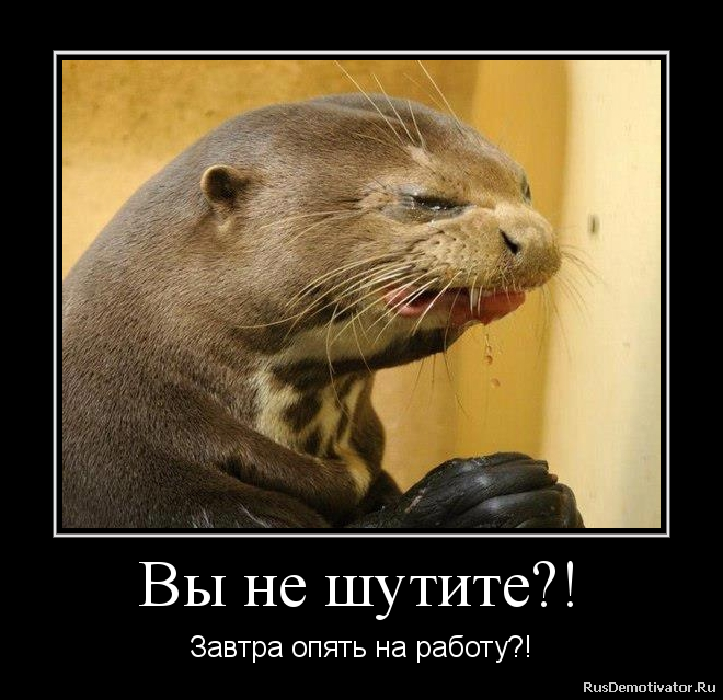 http://rusdemotivator.ru/uploads/12-26-2012/2012122601462856.png