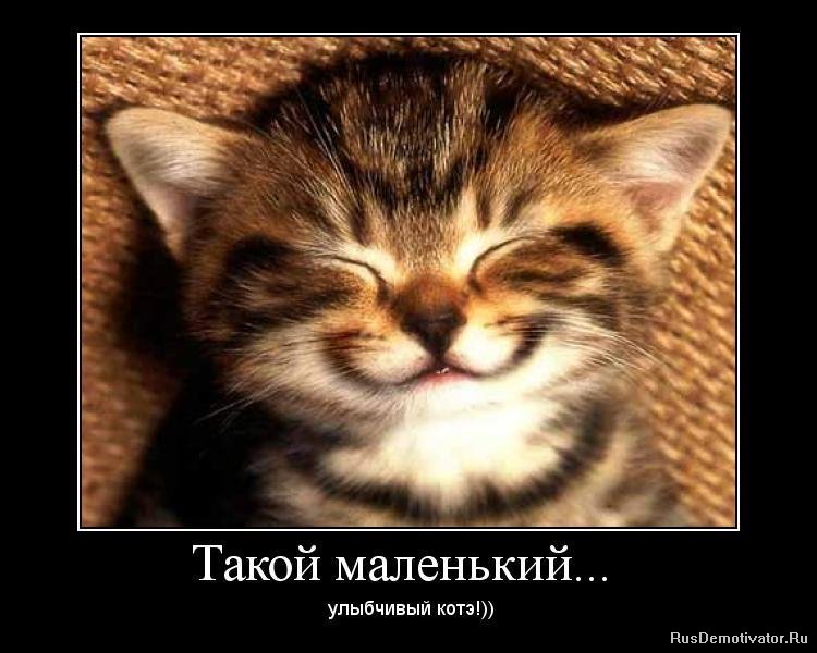 Такой маленький... улыбчивый котэ!))