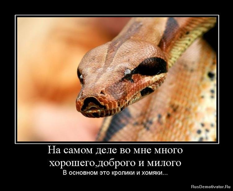 http://rusdemotivator.ru/uploads/posts/2010-04/1270408510_649919_na-samom-dele-vo-mne-mnogo-horoshegodobrogo-i-milogo.jpg