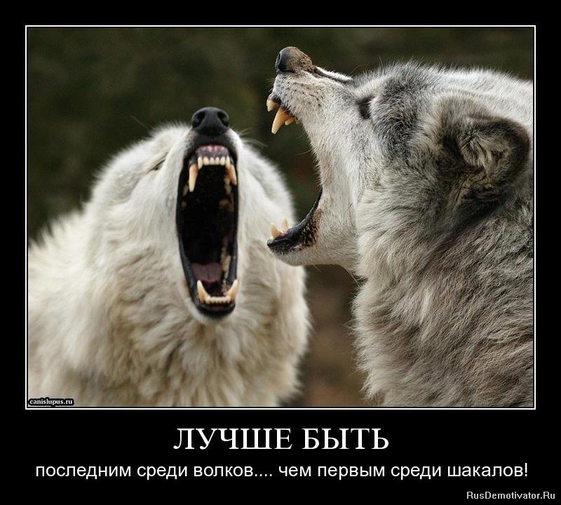 http://rusdemotivator.ru/uploads/posts/2010-04/1271585636_3ydnjbz36vgg.jpg