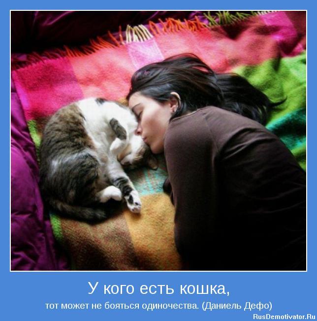 У кого есть кошка, - тот может не бояться одиночества. (Даниель Дефо)