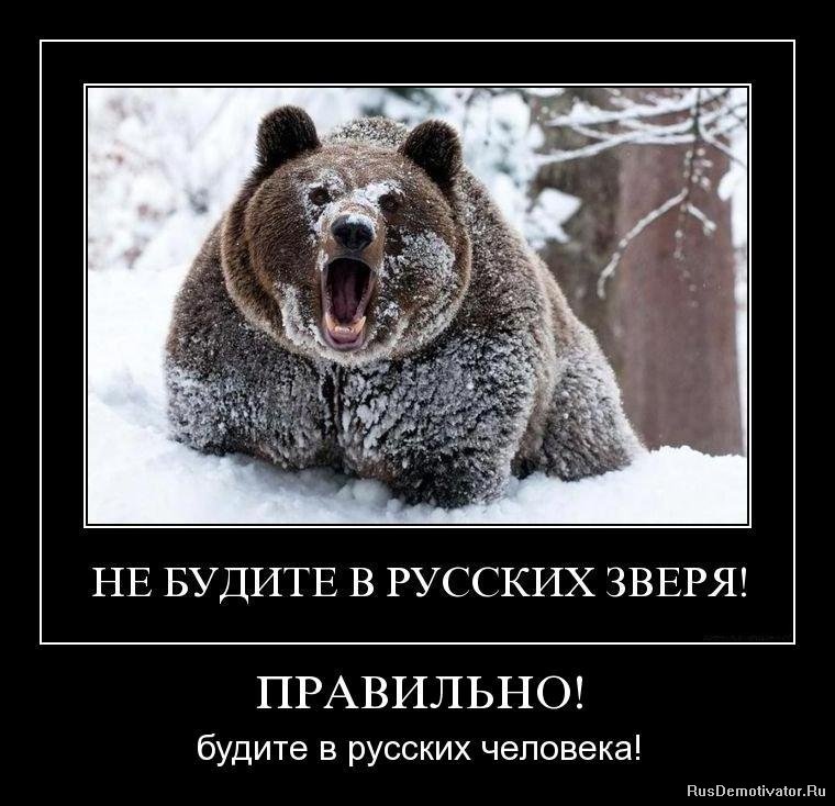 http://rusdemotivator.ru/uploads/posts/2010-05/1275058874_ooxwydwrxv6r.jpg