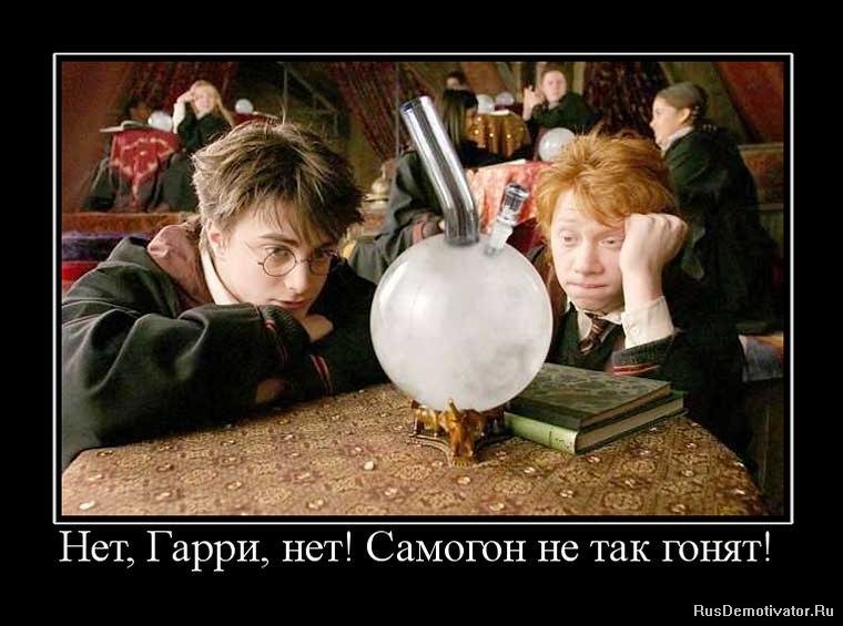 http://rusdemotivator.ru/uploads/posts/2010-05/1275328640_718183_net-garri-net-samogon-ne-tak-gonyat.jpg