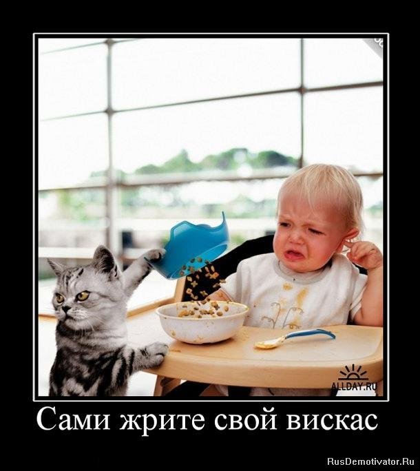 http://rusdemotivator.ru/uploads/posts/2010-07/1278088632_718987_cami-zhrite-svoj-viskas.jpg