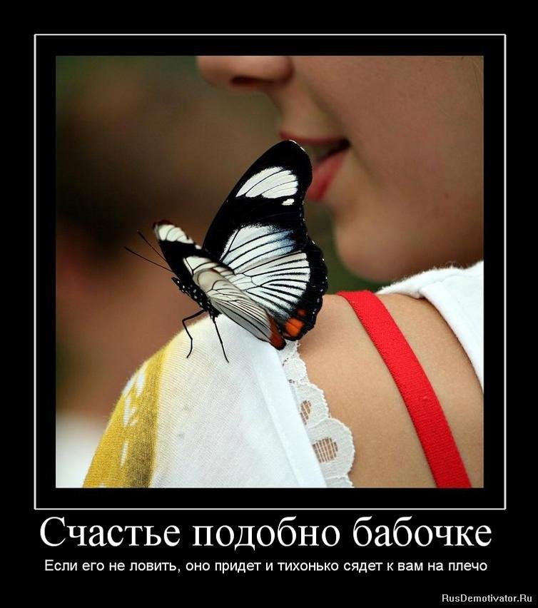 Счастье подобно бабочке - Если его не ловить, оно придет и тихонько сядет к вам на плечо
