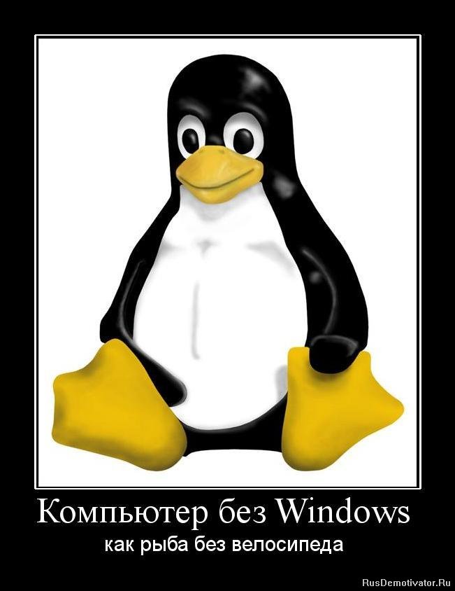   Windows -    