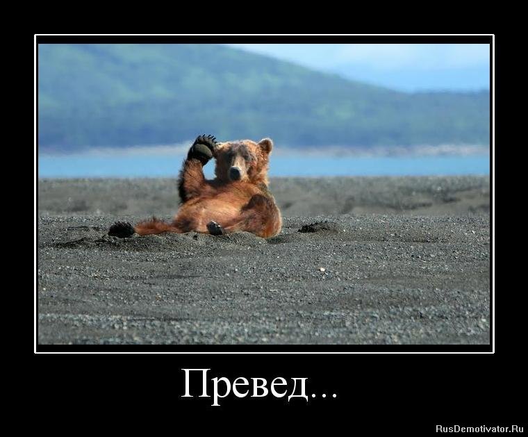http://rusdemotivator.ru/uploads/posts/2010-08/1283180558_827854_preved.jpg