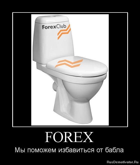 FOREX -     