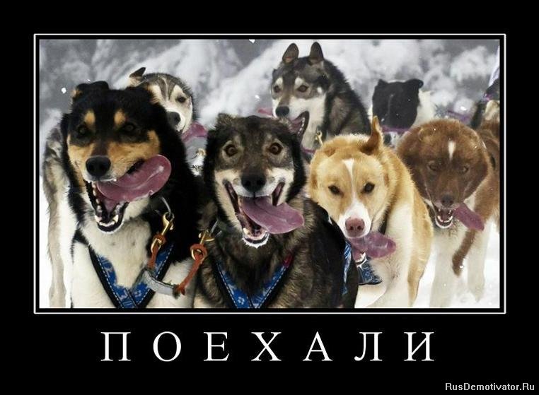 http://rusdemotivator.ru/uploads/posts/2011-01/1295789489_732758_p-o-e-h-a-l-i.jpg