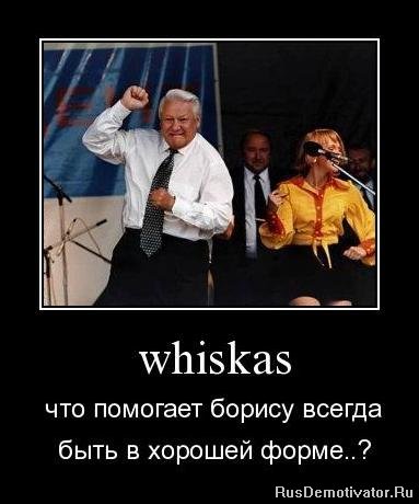 whiskas -        ?