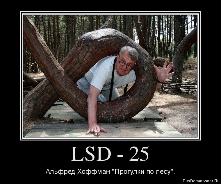 LSD - 25   &quot;  &quot;