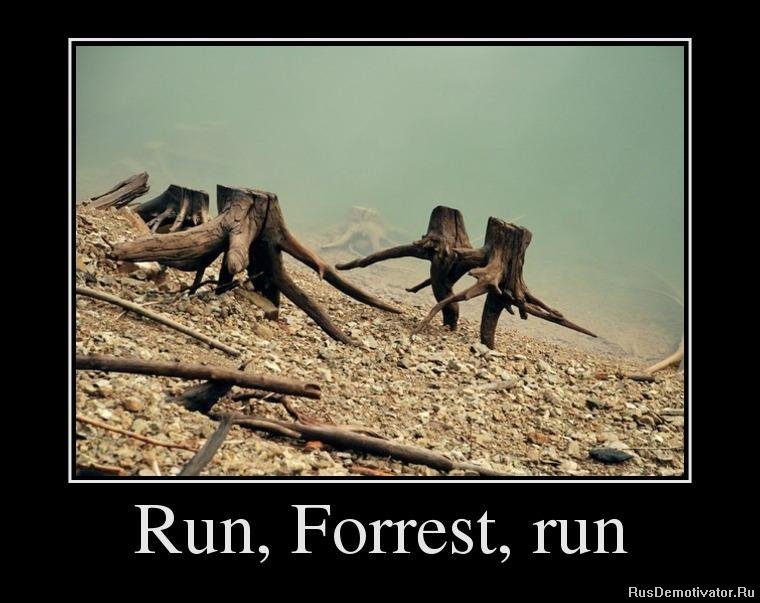 Run, Forrest, run