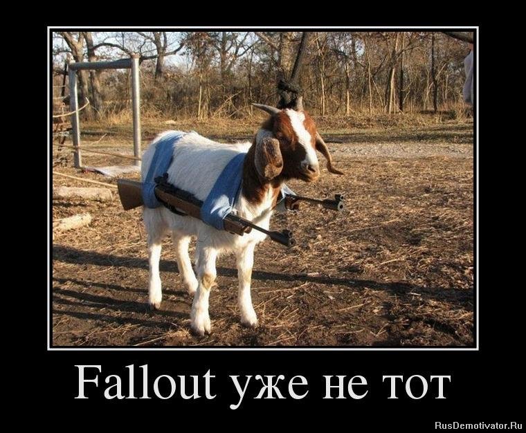 Fallout   