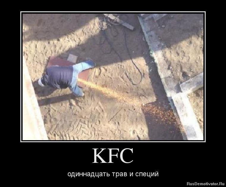 KFC -    