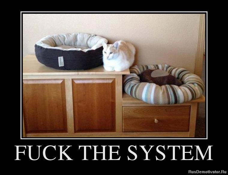 FUCK THE SYSTEM