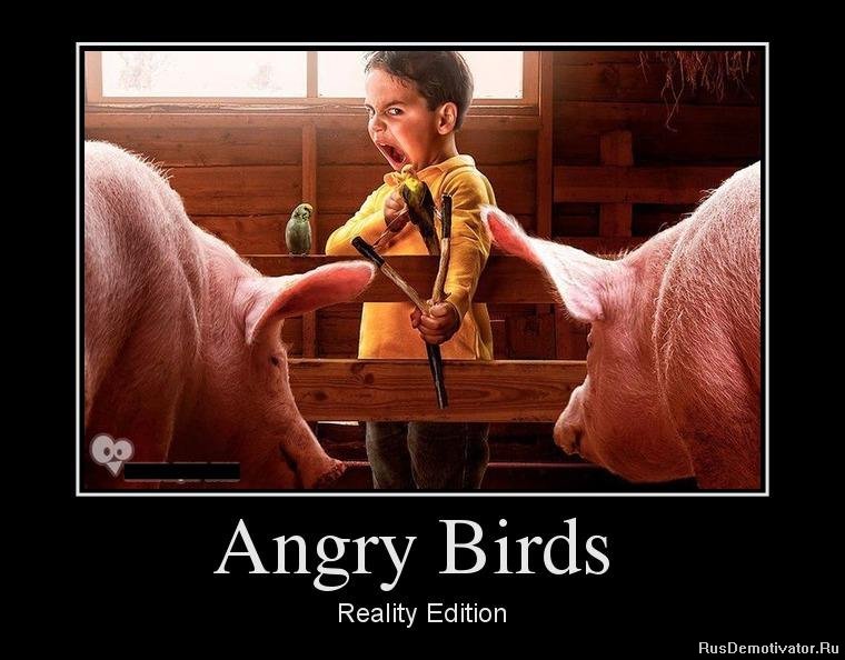 Angry Birds - Reality Edition