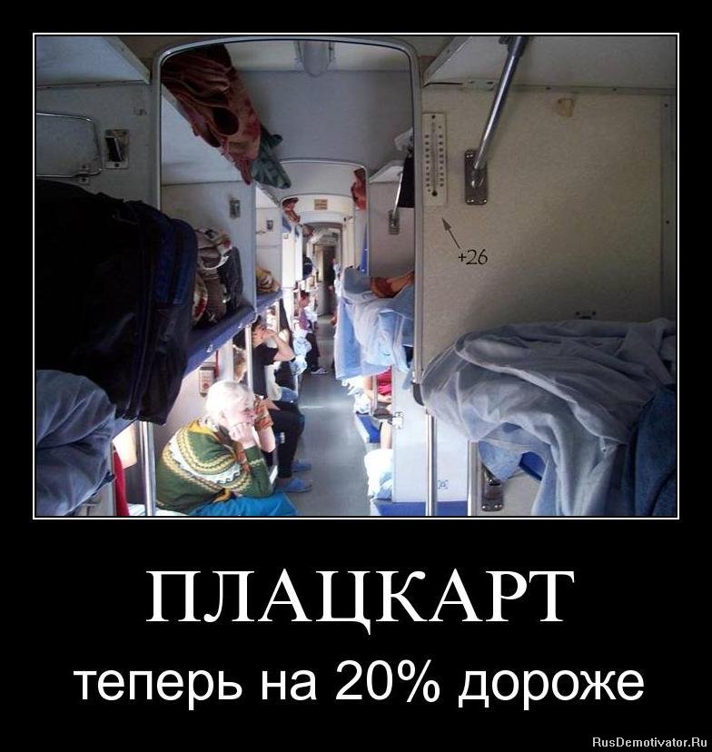  -   20% 