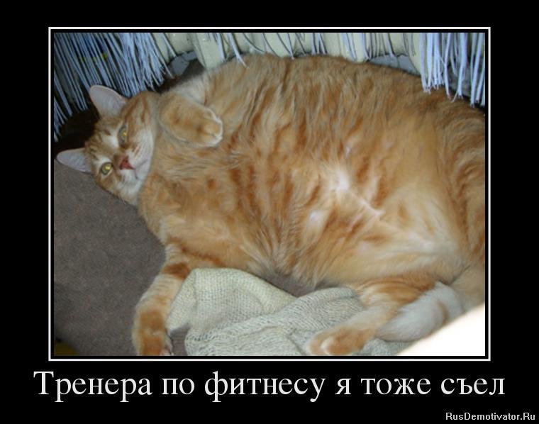 http://rusdemotivator.ru/uploads/posts/2013-01/1358265318_88119761_trenera-po-fitnesu-ya-tozhe-sel.jpg