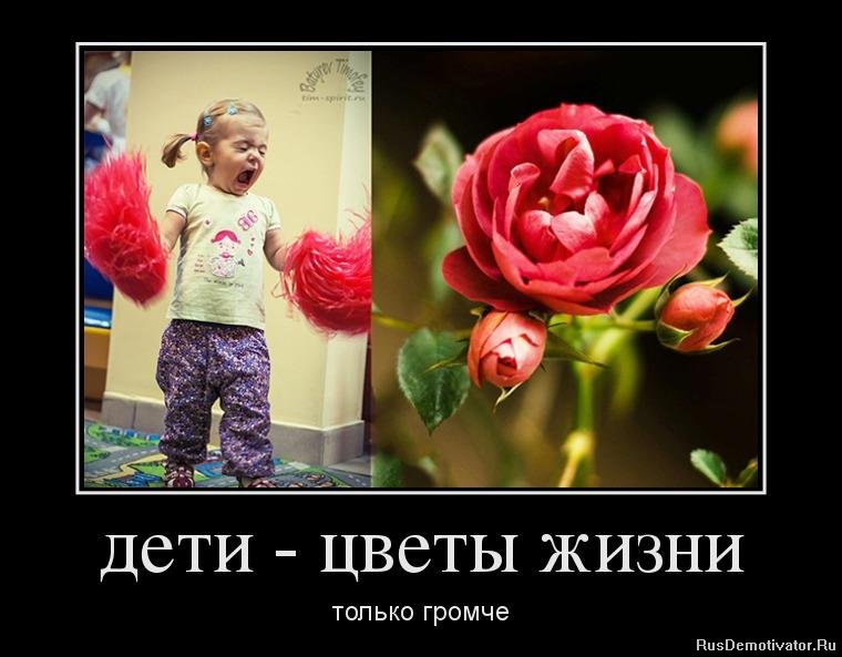 дети - цветы жизни - только громче