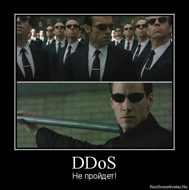 DDoS -  !