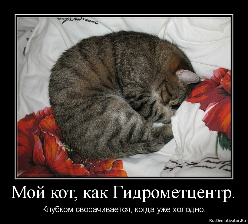http://rusdemotivator.ru/uploads/10-06-2012/2012100619424459.png